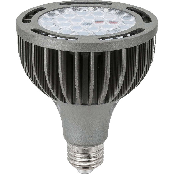 PAR30 24Watt LED Leuchtmittel E27 passivgek&uuml;hlt mit grauem Geh&auml;use