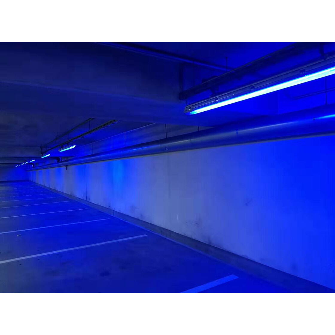 LED T8 Nano Röhre Blau 120cm 120lm/W Retrofit A++ 300° Abstrahlwinkel,  29,90 €
