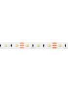 LED line® Streifen 300 SMD3528 12V 3000-6500K 9,6W MULTIWHITE