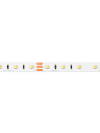 LED line® Streifen 300 SMD3528 24V 3000-6500K 9,6W MULTIWHITE