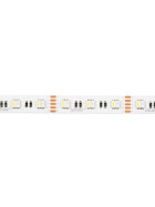LED line® Streifen 300 SMD5050 12V 6500K RGBW 19,2W
